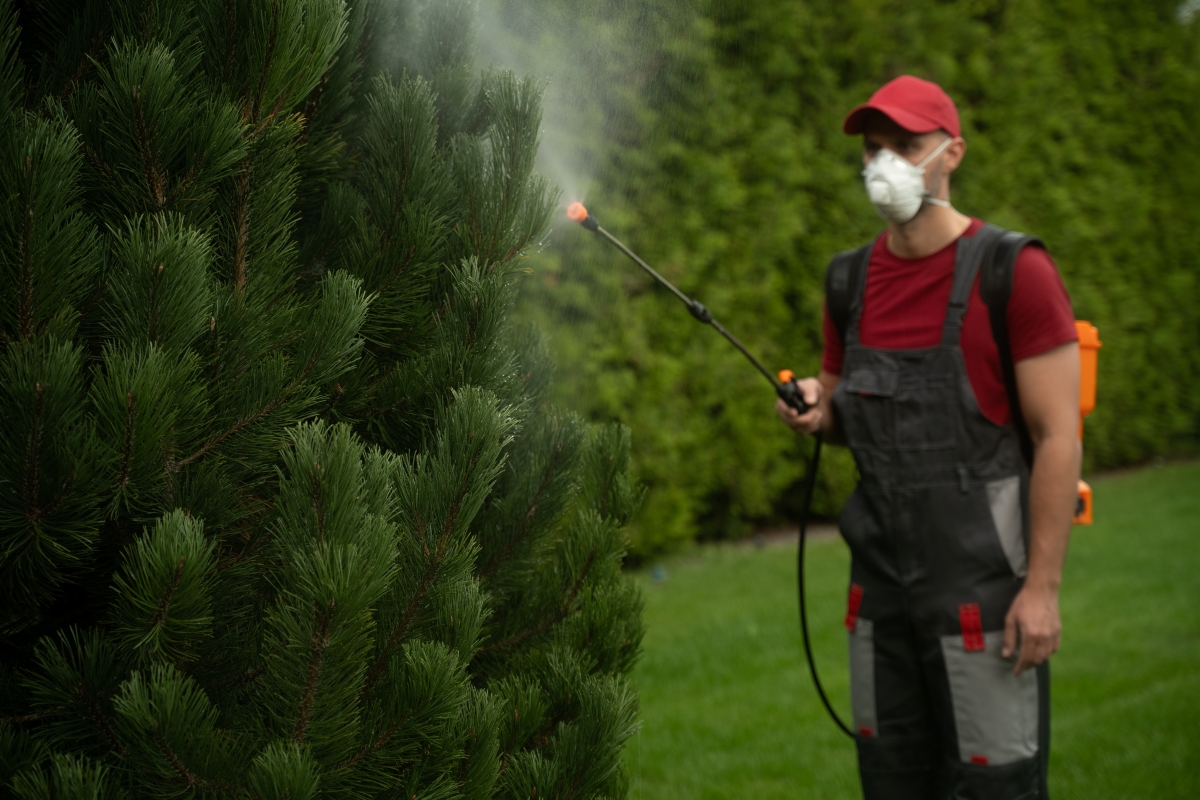 Bahçe İlaçlama