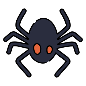 Wolf Spider